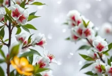 Photo of Популярные методы лечения простуды